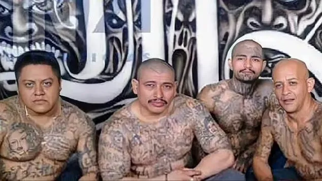 Venezuelan Gang Deportations: Trump's Border Warnings